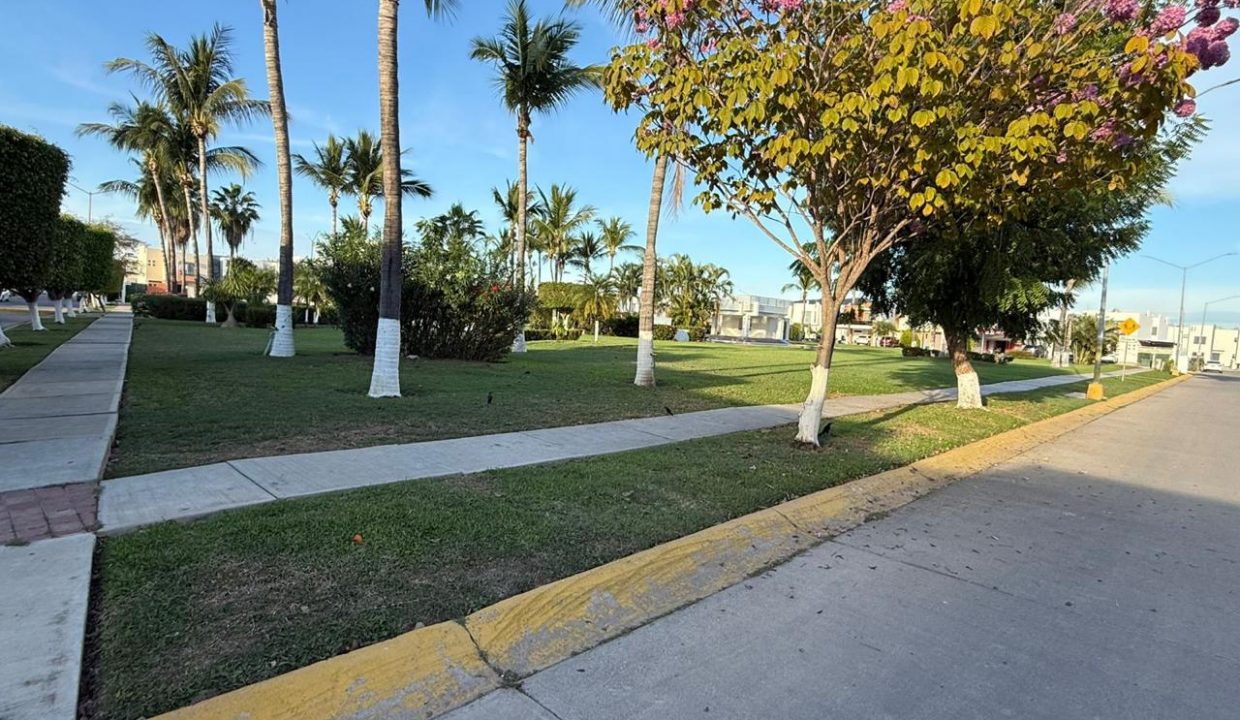 WhatsApp Image 2026-02-25 at 6.15.49 PM (3)